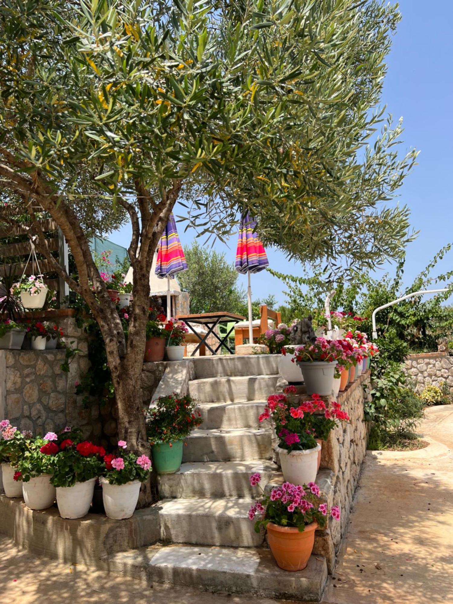 Apartment Erjon كساميل المظهر الخارجي الصورة